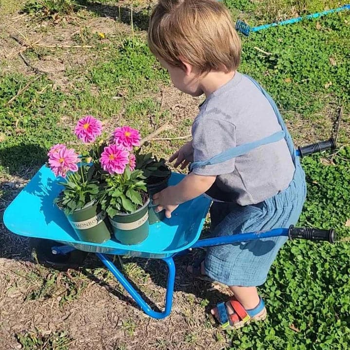 Blue Dinosaur Kids Gardening Set Wheelbarrow